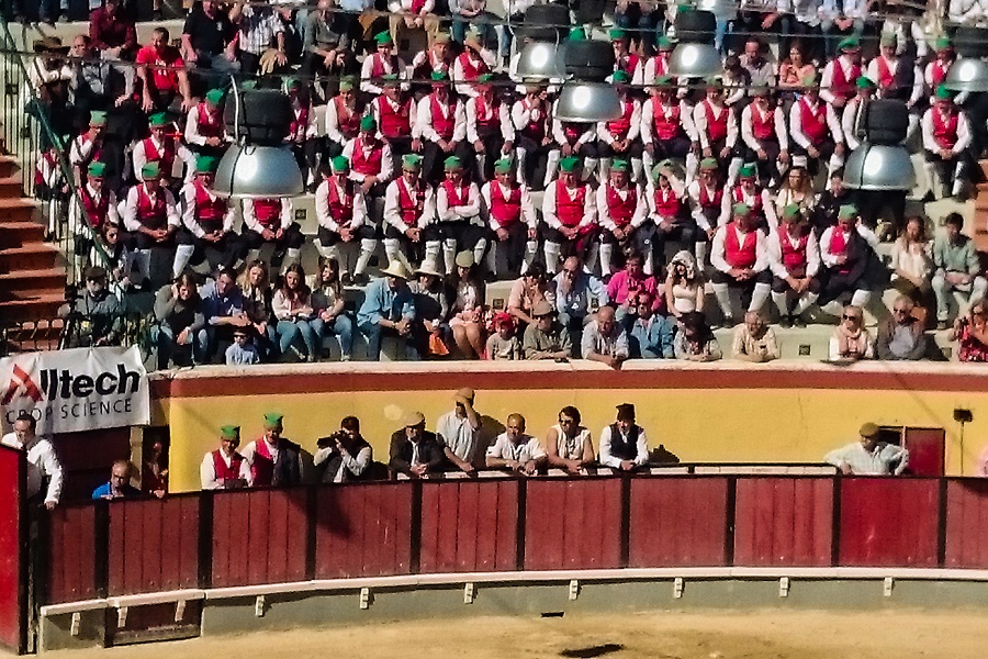 003_Corrida_Homenagem_Fernando_Palha_20160501